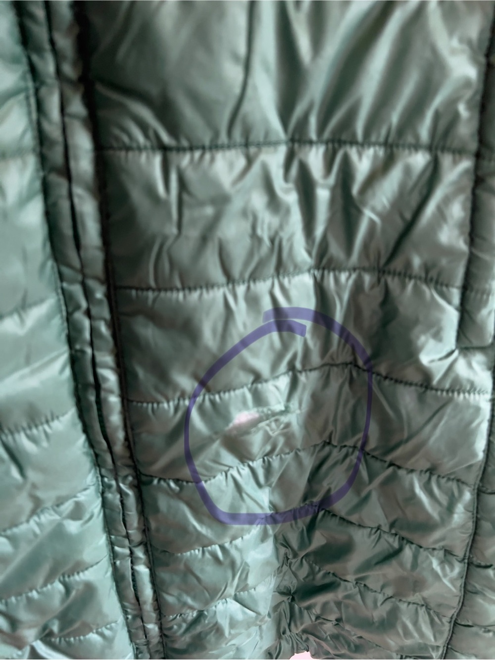 Patagonia Eelgrass Green Radalie Parka - Picture 4 of 9
